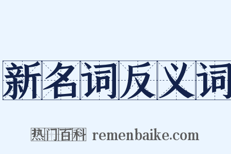 新名词反义词是什么意思的图片